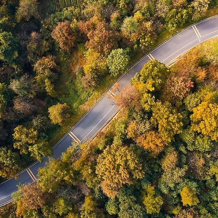 فندق Banyan Tree Anji هوتشو المظهر الخارجي الصورة